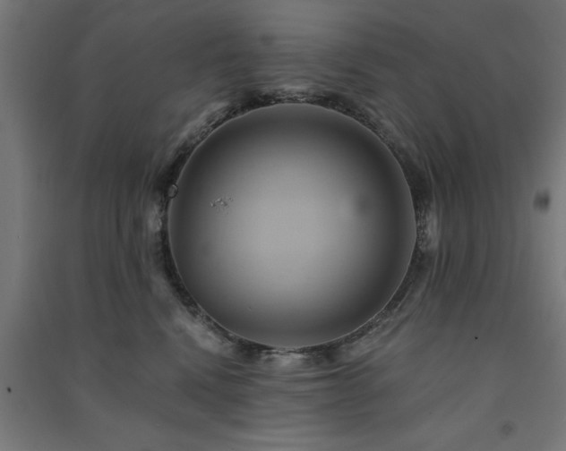 X0000091590472200708201234
