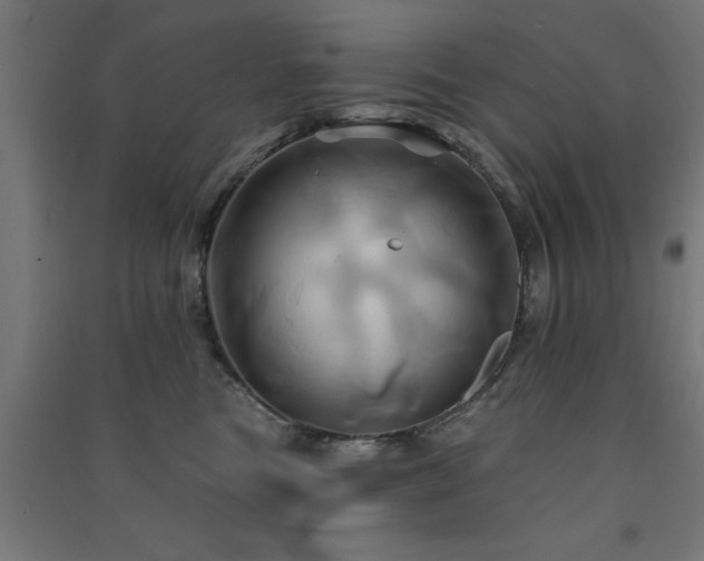 X0000091590473200708201234