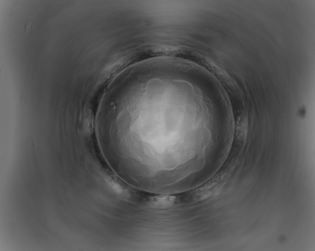 X0000091590474200708201234