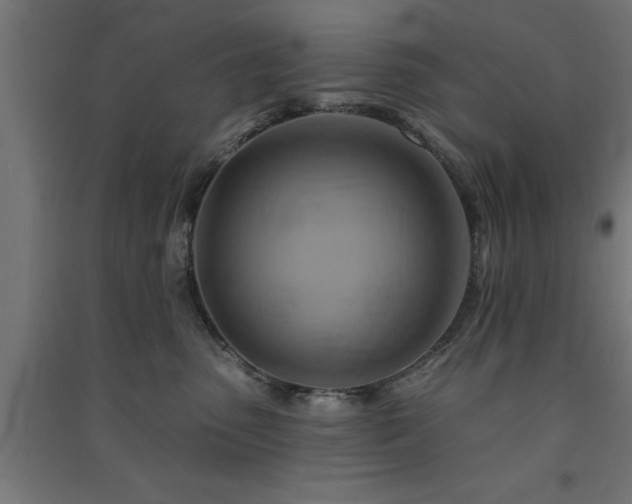 X0000091590475200708201234
