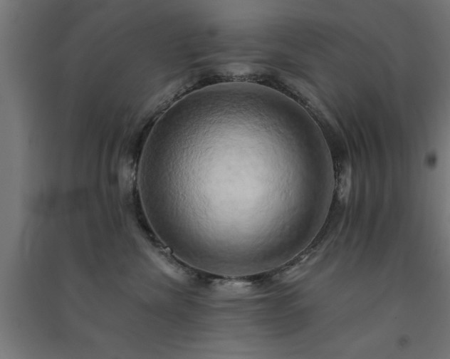 X0000091590476200708201234