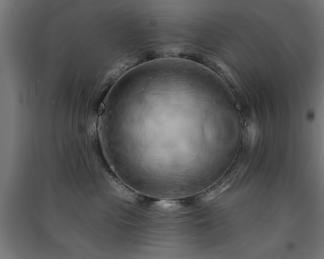 X0000091590477200708201234