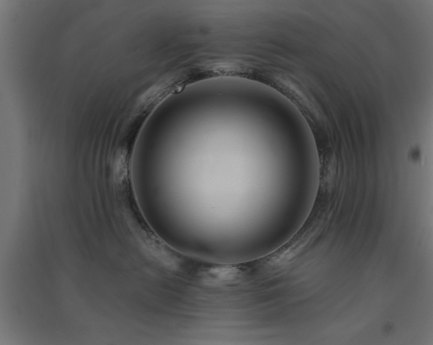X0000091590478200708201234