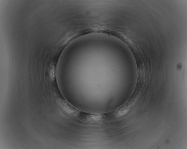 X0000091590479200708201234