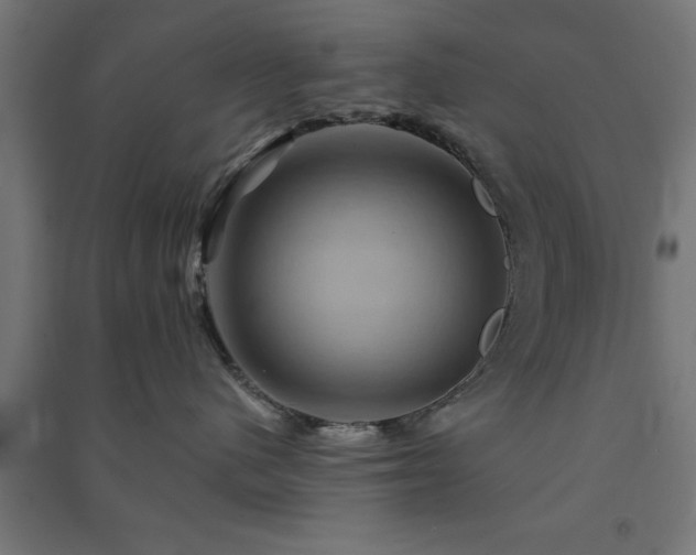 X0000091590480200708201234