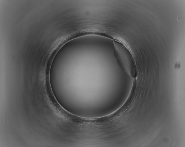 X0000091590482200708201233