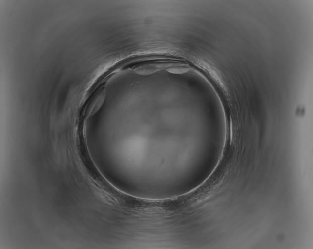 X0000091590483200708201233