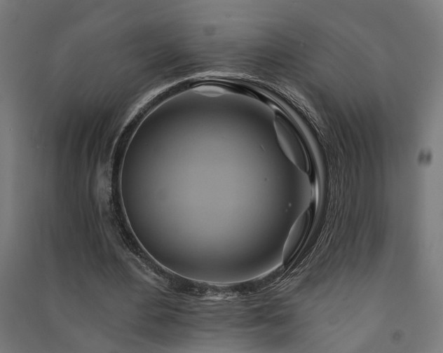 X0000091590484200708201233