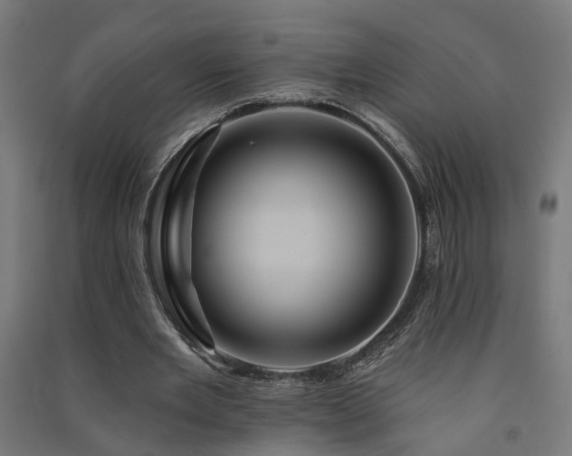 X0000091590485200708201233