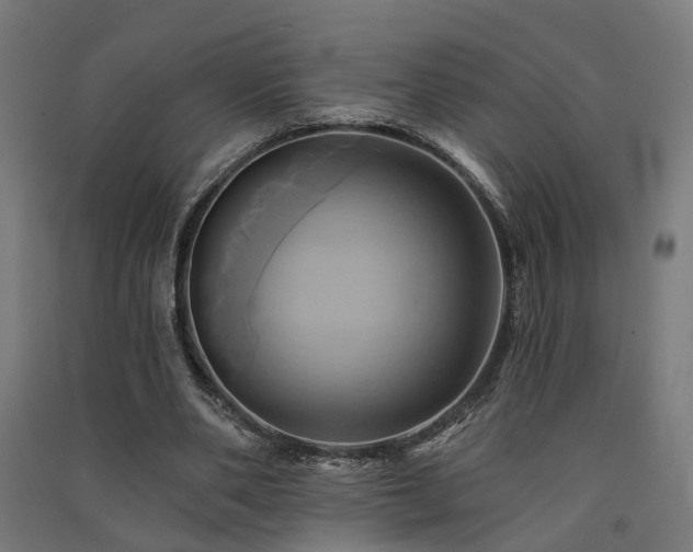 X0000091590486200708201233
