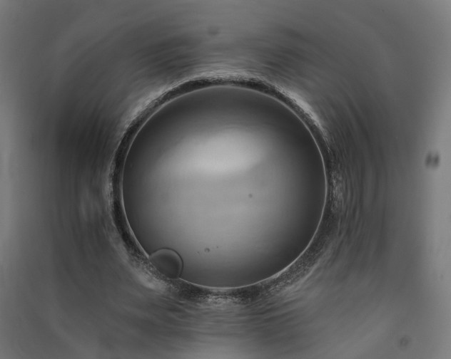 X0000091590487200708201233