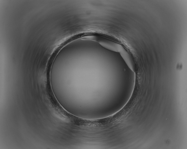 X0000091590488200708201233