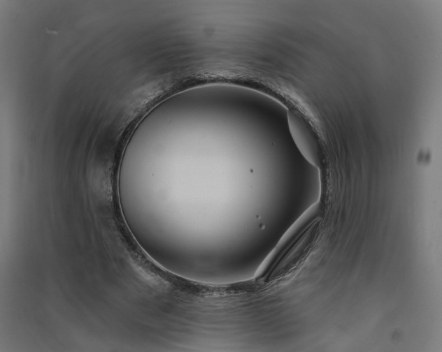 X0000091590489200708201233