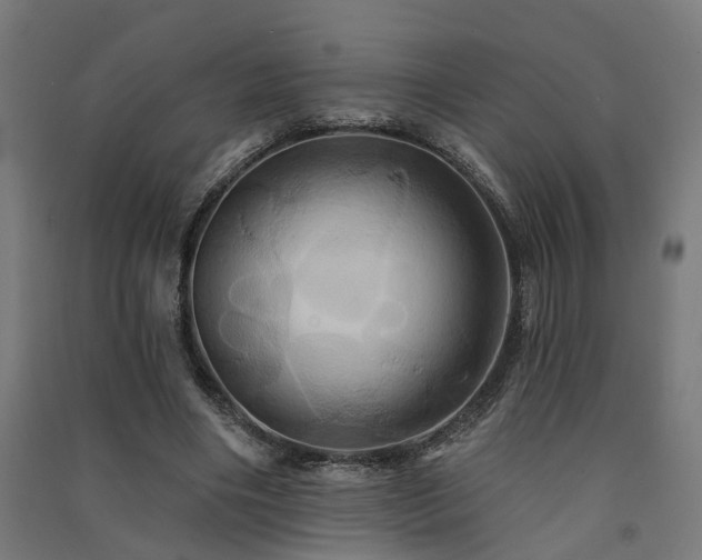 X0000091590490200708201233