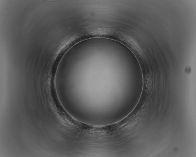 X0000091590491200708201233