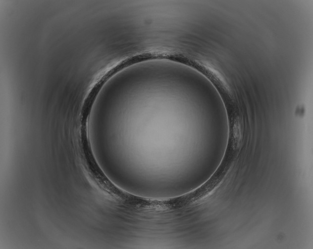 X0000091590492200708201233