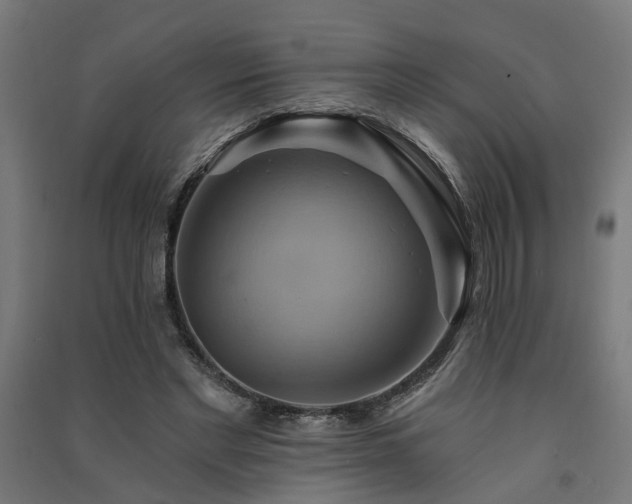 X0000091590493200708201233