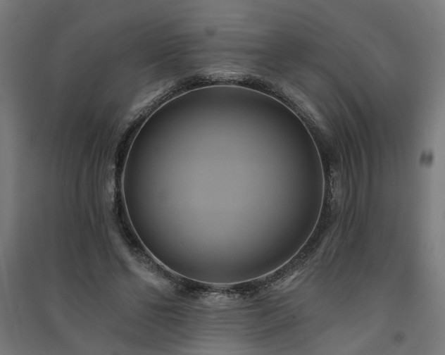 X0000091590494200708201233