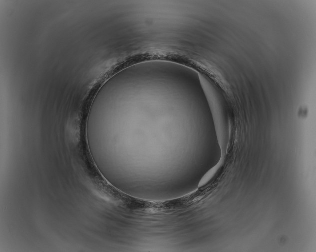 X0000091590496200708201233