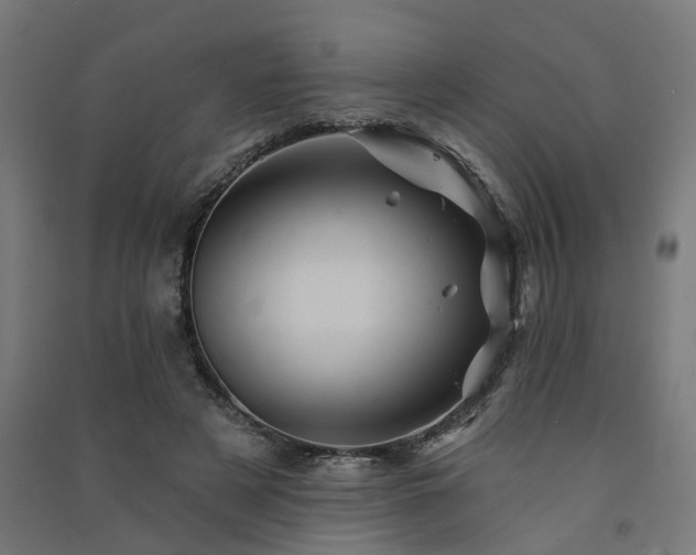 X0000091590497200708201233
