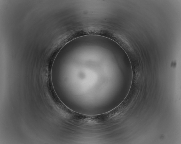 X0000091590498200708201233