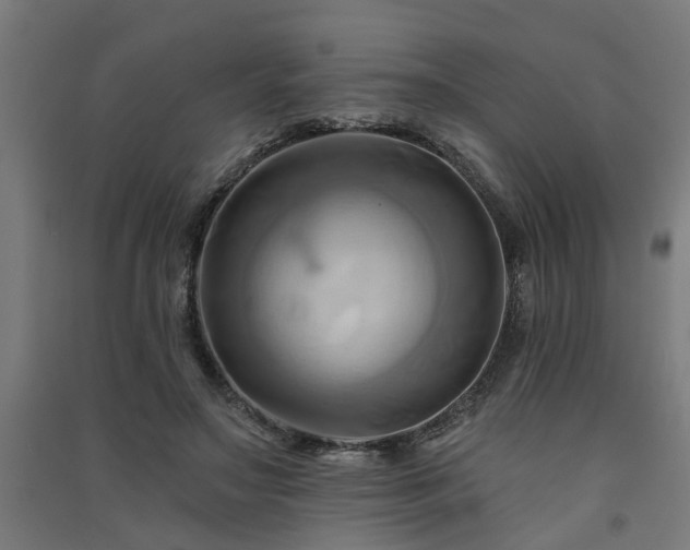 X0000091590499200708201233
