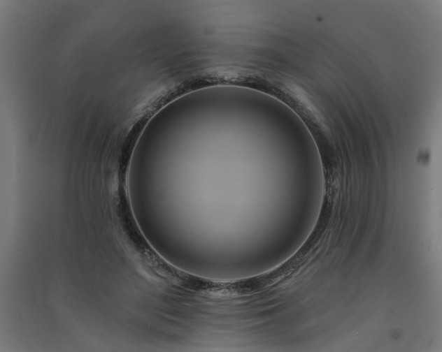 X0000091590500200708201233