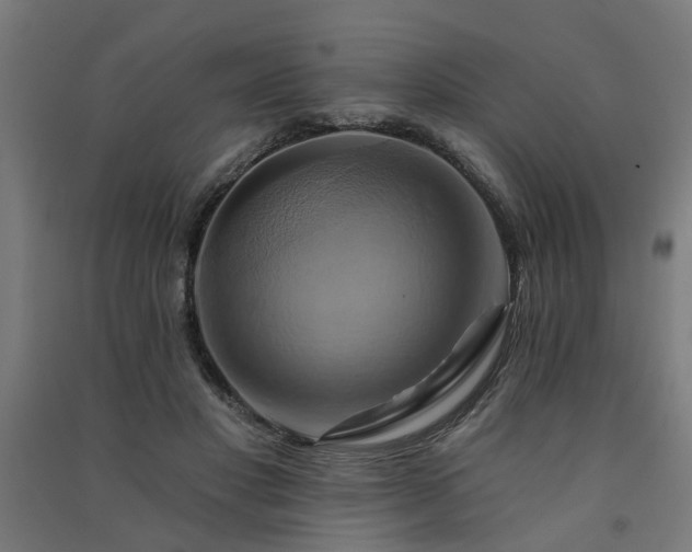 X0000091590501200708201233