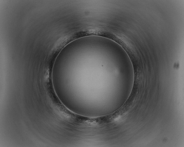X0000091590502200708201233