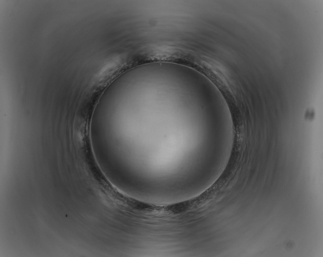 X0000091590503200708201233