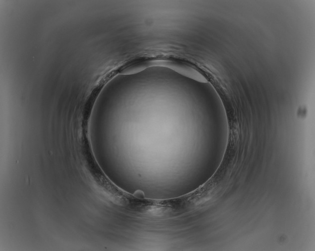 X0000091590504200708201233