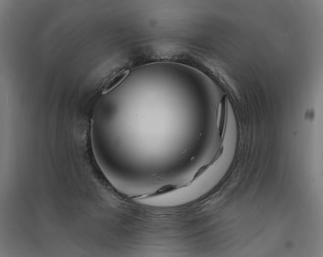 X0000091590505200708201233