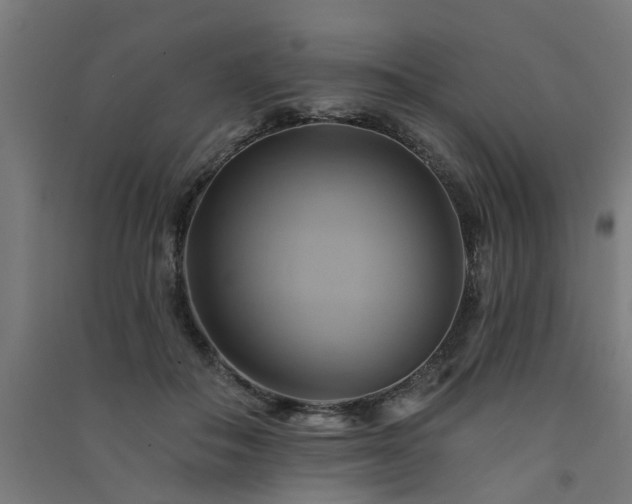 X0000091590506200708201233