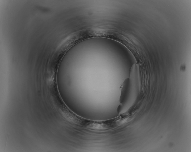 X0000091590507200708201233