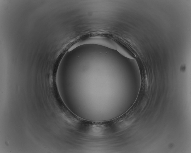 X0000091590508200708201233