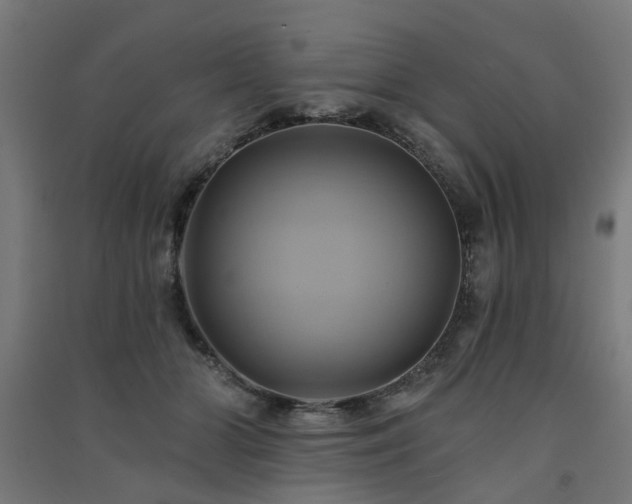 X0000091590510200708201233