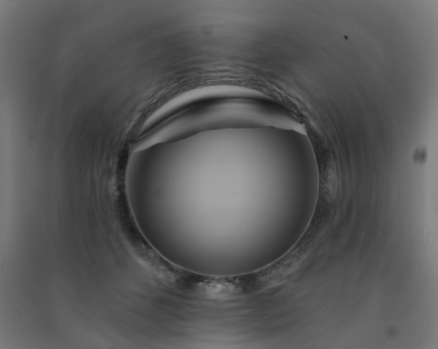 X0000091590512200708201233