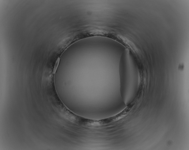 X0000091590513200708201233