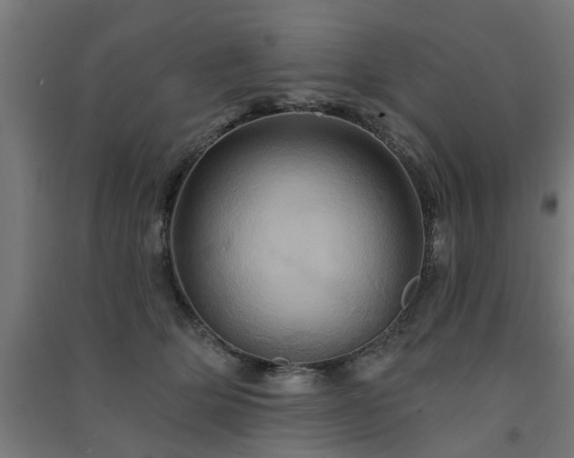 X0000091590514200708201233