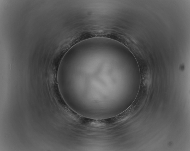 X0000091590515200708201232