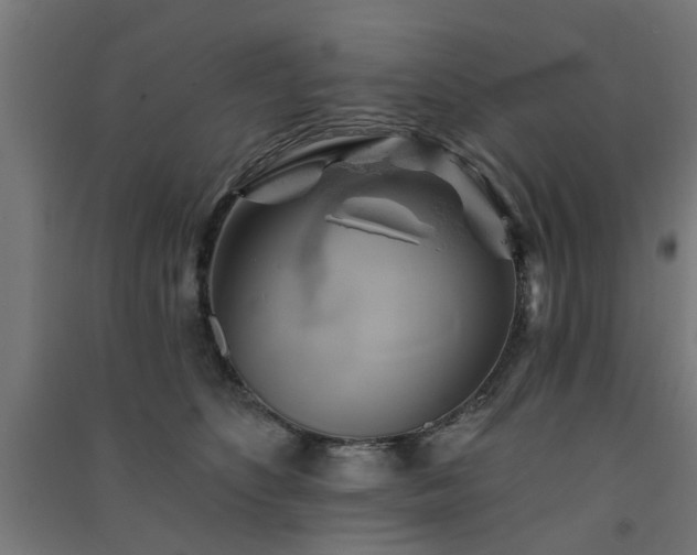 X0000091590516200708201232