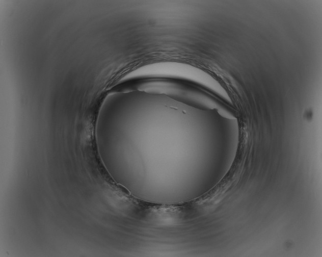X0000091590517200708201232