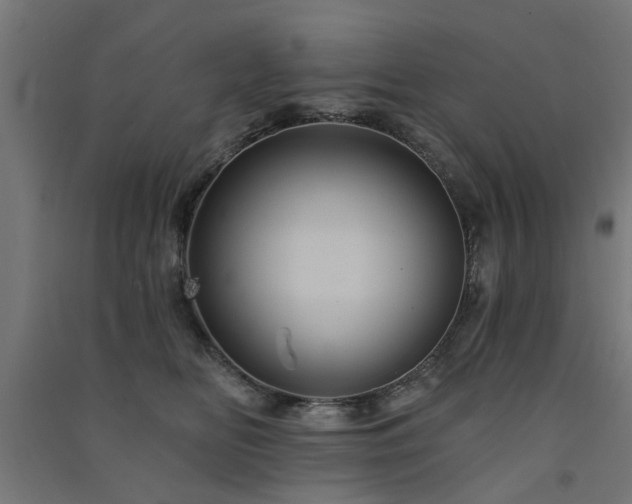 X0000091590518200708201232