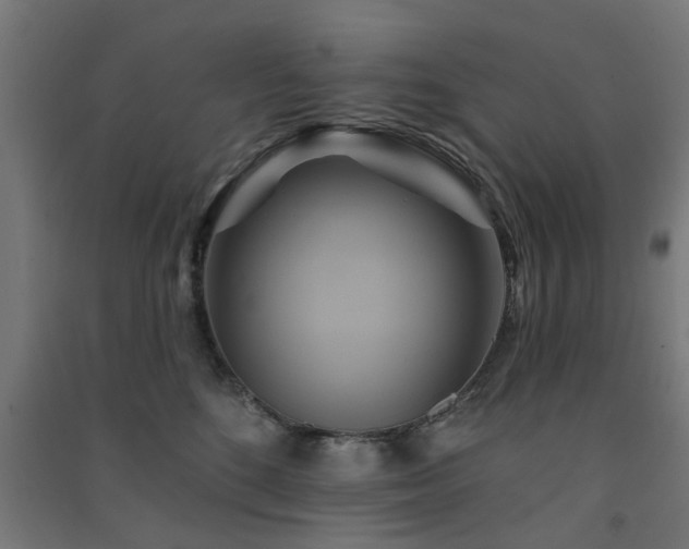 X0000091590520200708201232