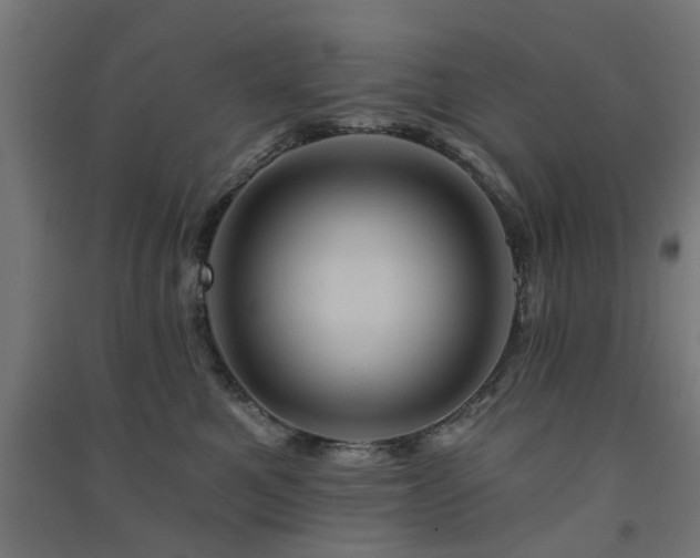 X0000091590521200708201232