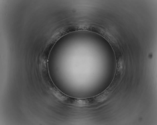 X0000091590522200708201232