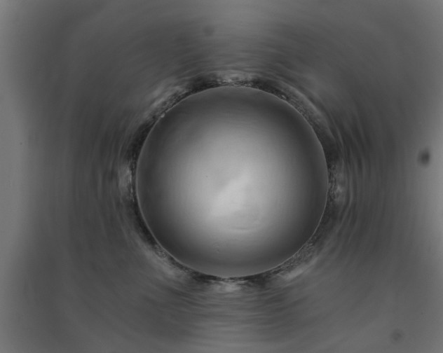 X0000091590523200708201232