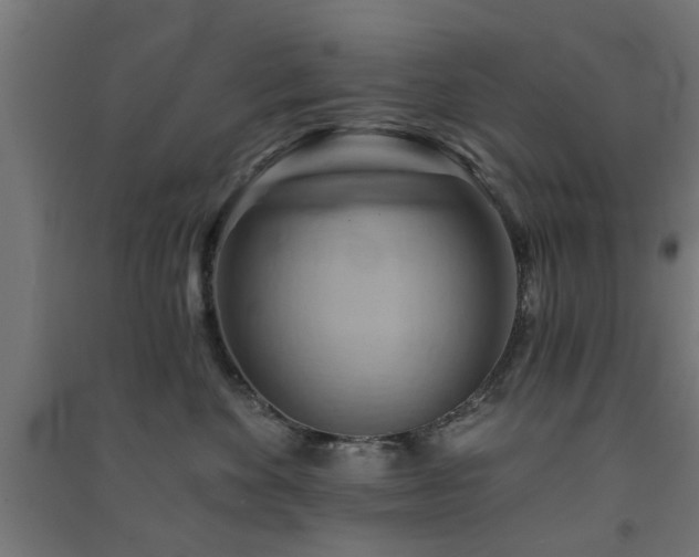 X0000091590524200708201232