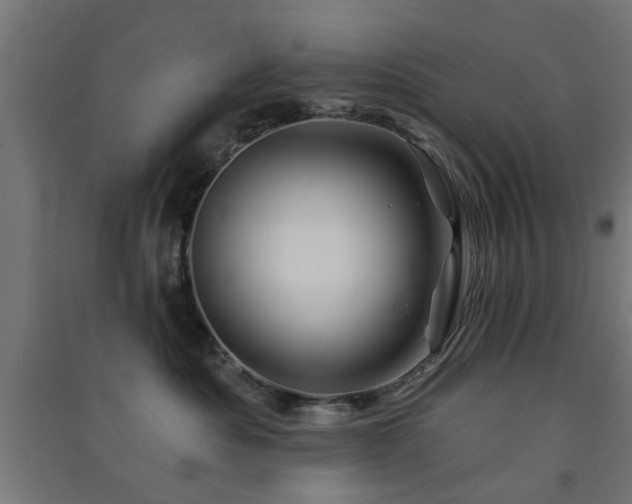 X0000091590525200708201232