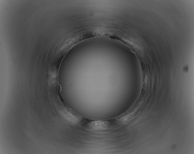X0000091590526200708201232